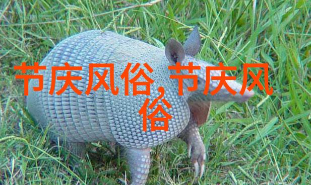 美国纽约地理风俗